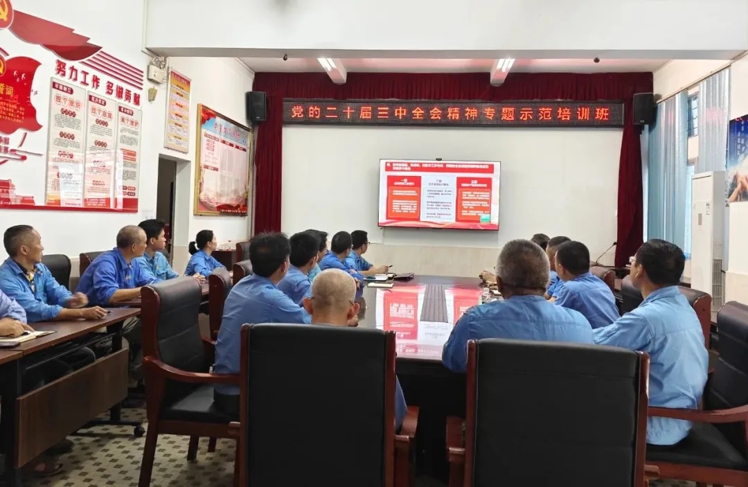 XPJ官网组织旁观进建贯彻党的二十届三中全会心灵专题示范班讲堂视频直播